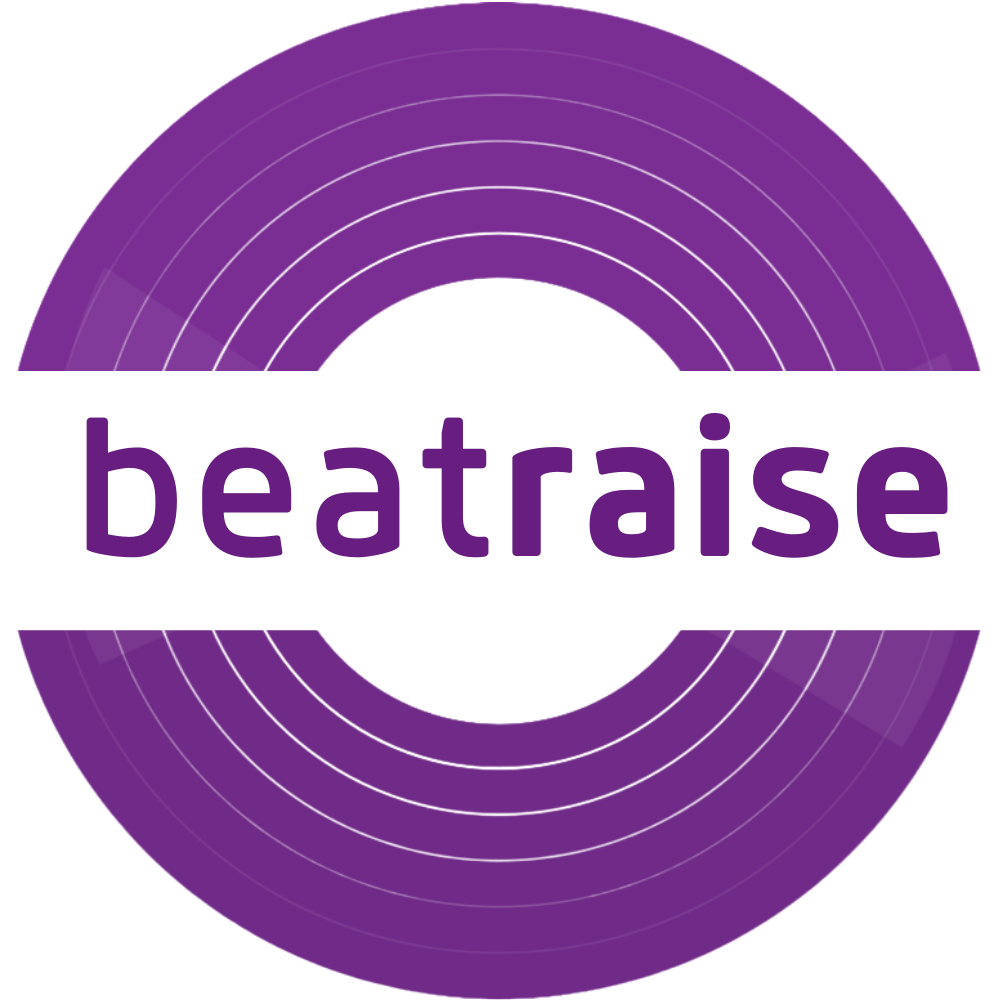 BeatRaise | 360º Music Services - From Production to Promotion